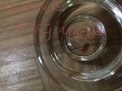 IMG_4708.jpeg