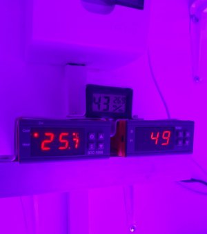 20231030_220650.jpg