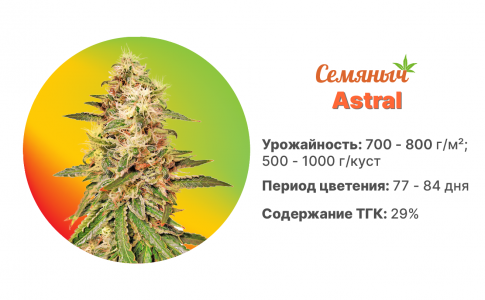 Astral