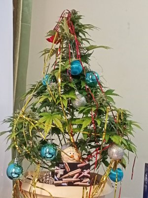 IMG20231208162425.jpg