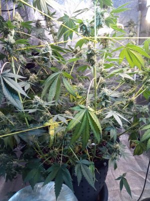 IMG_20100316_002857_4.jpg