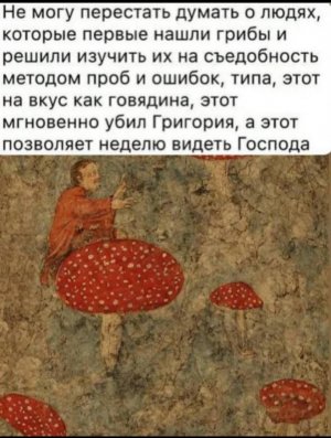 dab7f791-3275-4c43-9da9-98a18b14cc7a.jpeg