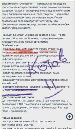 IMG_0093.jpeg