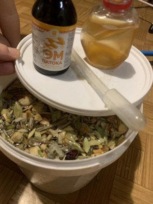 IMG_0279.jpeg