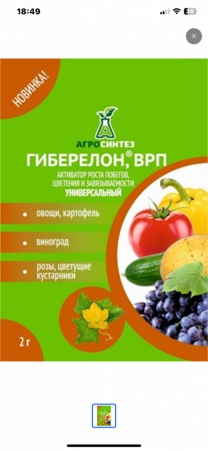 IMG_0328.png