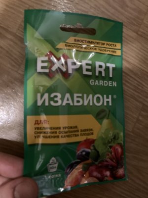 IMG_0324.jpeg