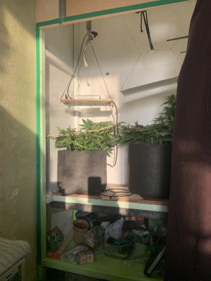 IMG_0457.jpeg