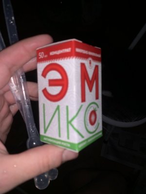 IMG_0470.jpeg