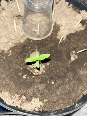 IMG_0852.jpeg