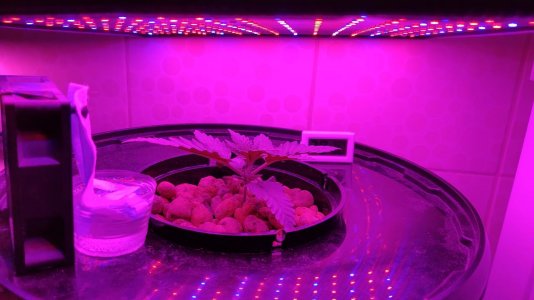 IMG_20220220_112338.jpg