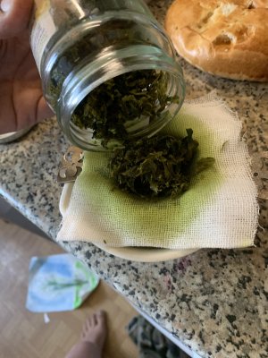 IMG_1859.jpeg
