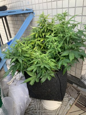 IMG_1750.jpeg