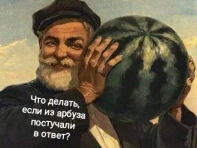 19232083.jpg