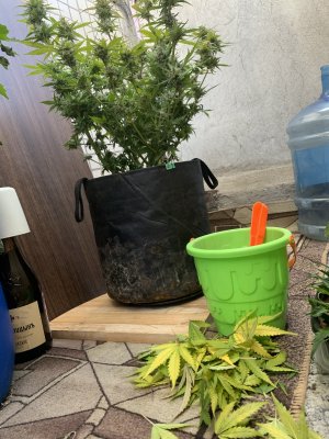 IMG_1776.jpeg